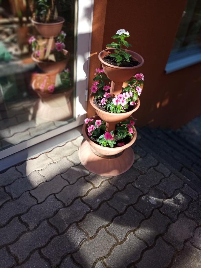 Hotel Pergola Panzió Balatonföldvár Esterno foto